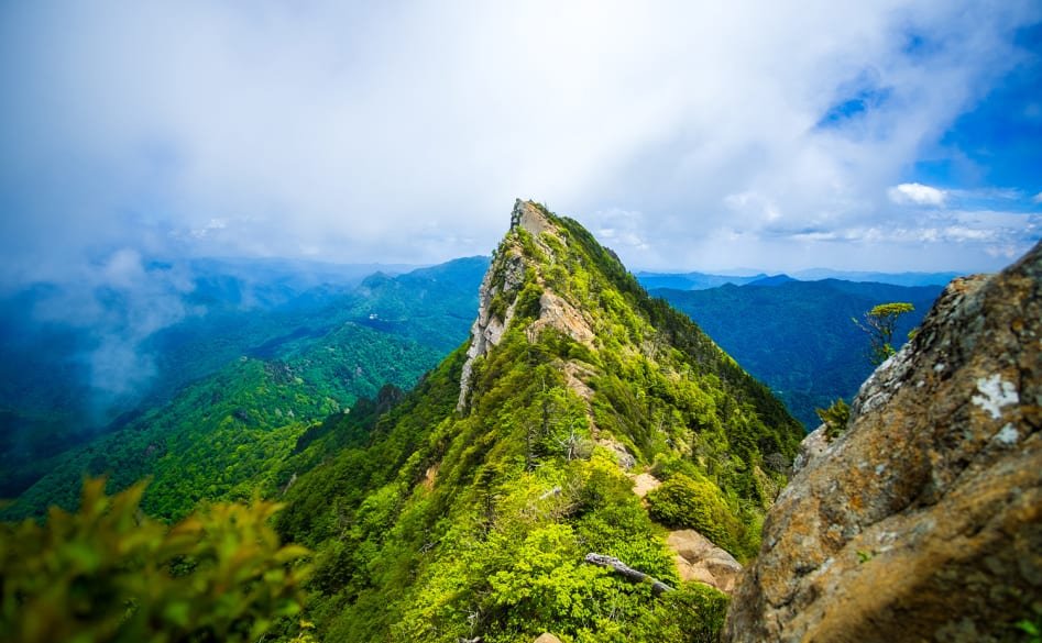 ⛩️ 이시즈치 신사 구치노미야 본사 본전 (石鎚神社 口之宮 本社 本殿) 이미지 7